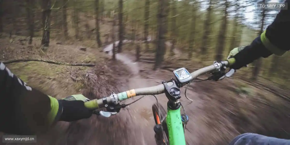 📱 实时比分、精彩回放，